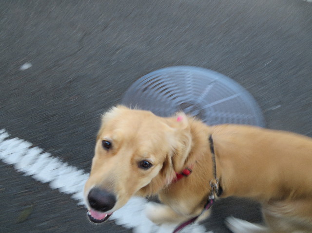 ファイル 7331-5.jpg