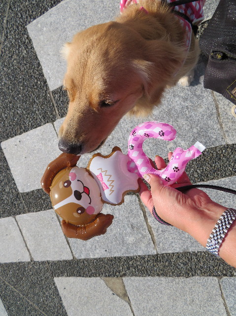 ファイル 7334-2.jpg