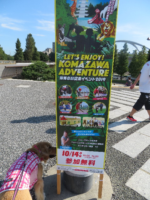 ファイル 7335-2.jpg