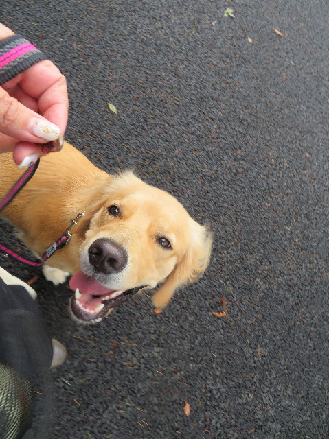 ファイル 7337-2.jpg