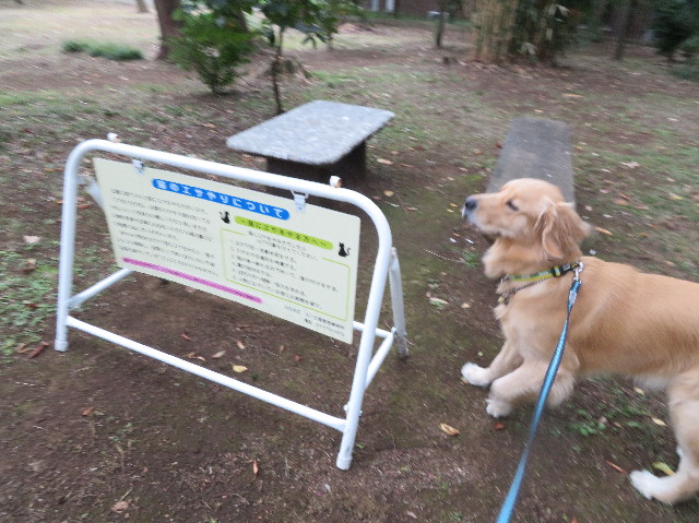 ファイル 7338-2.jpg