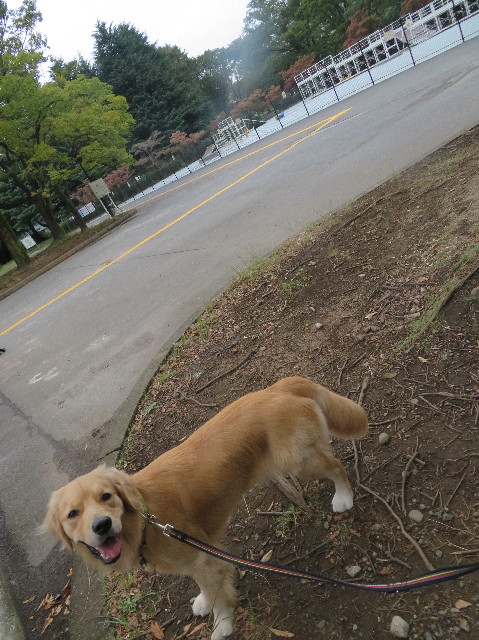 ファイル 7340-3.jpg