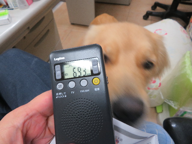 ファイル 7341-4.jpg