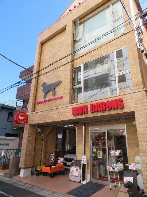 ファイル 7342-1.jpg