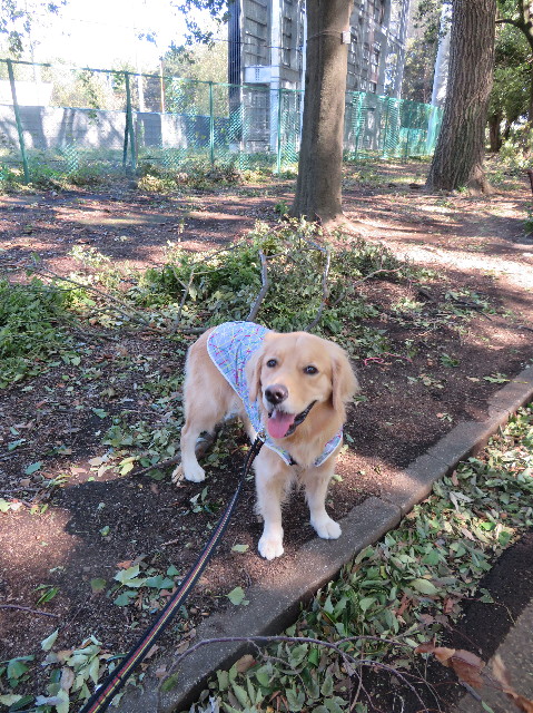 ファイル 7342-2.jpg