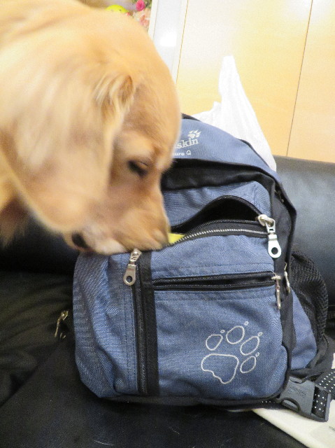 ファイル 7343-4.jpg