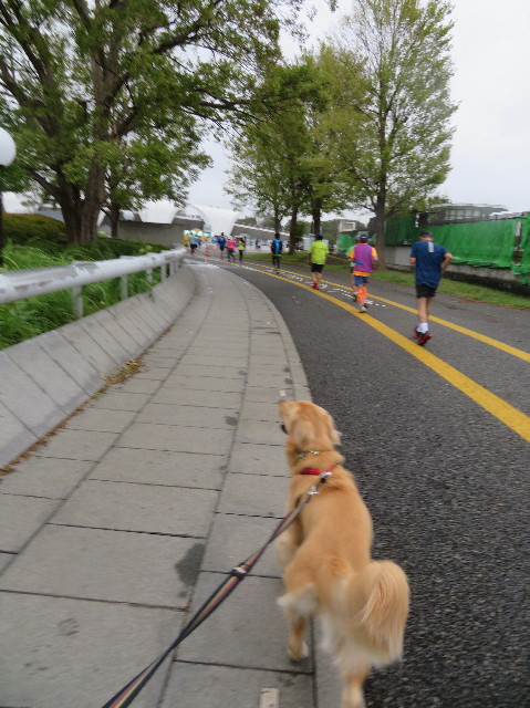 ファイル 7344-3.jpg