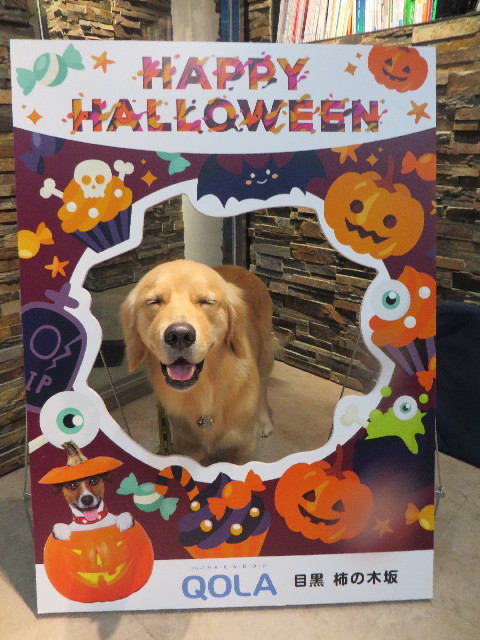 ファイル 7346-1.jpg