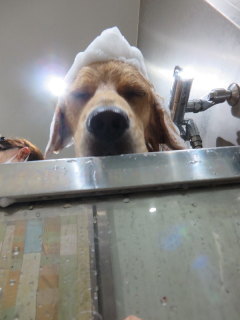 ファイル 7346-4.jpg