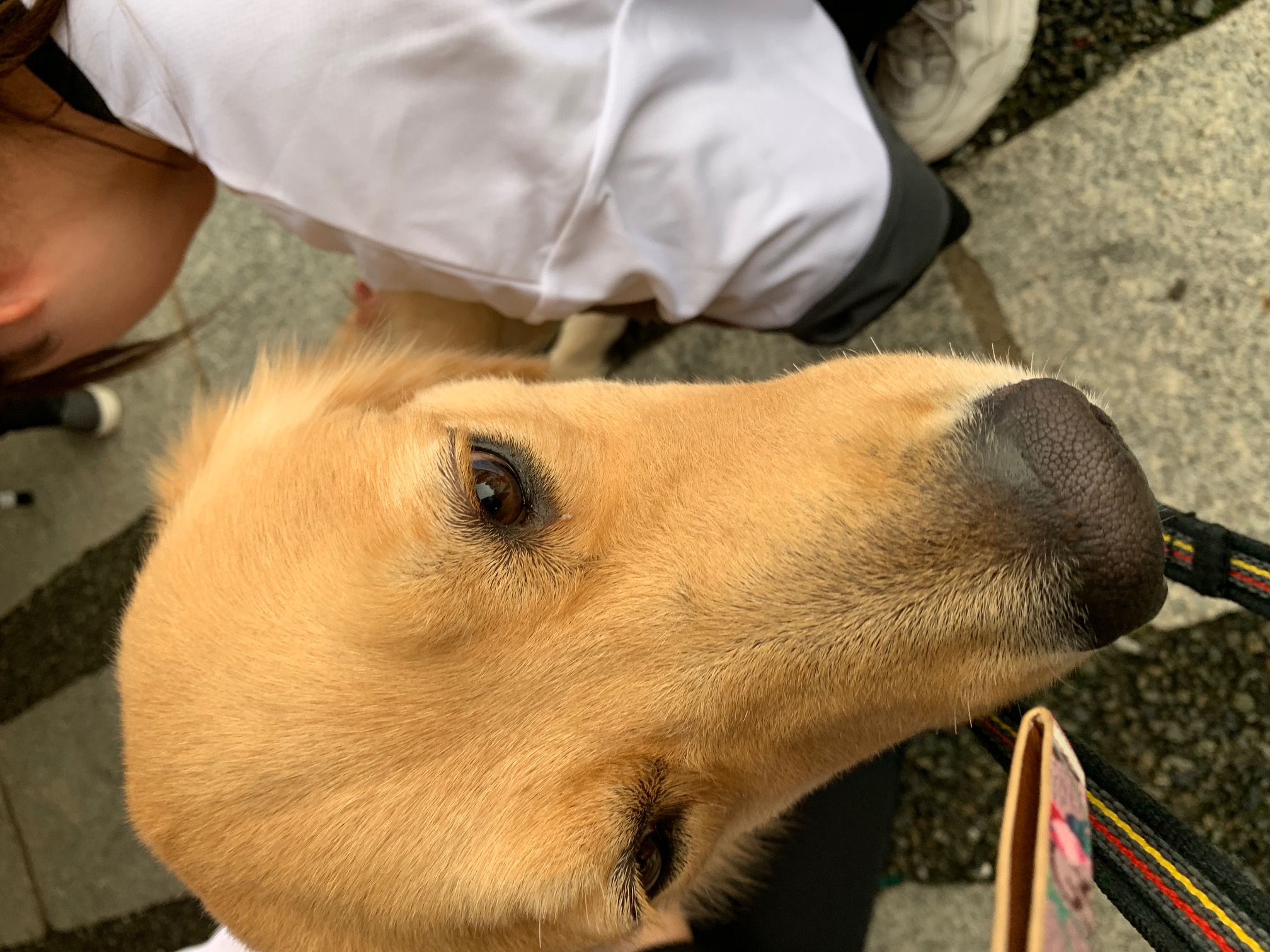 ファイル 7349-1.jpg