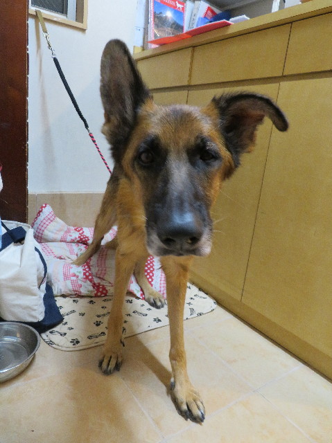 ファイル 7349-4.jpg