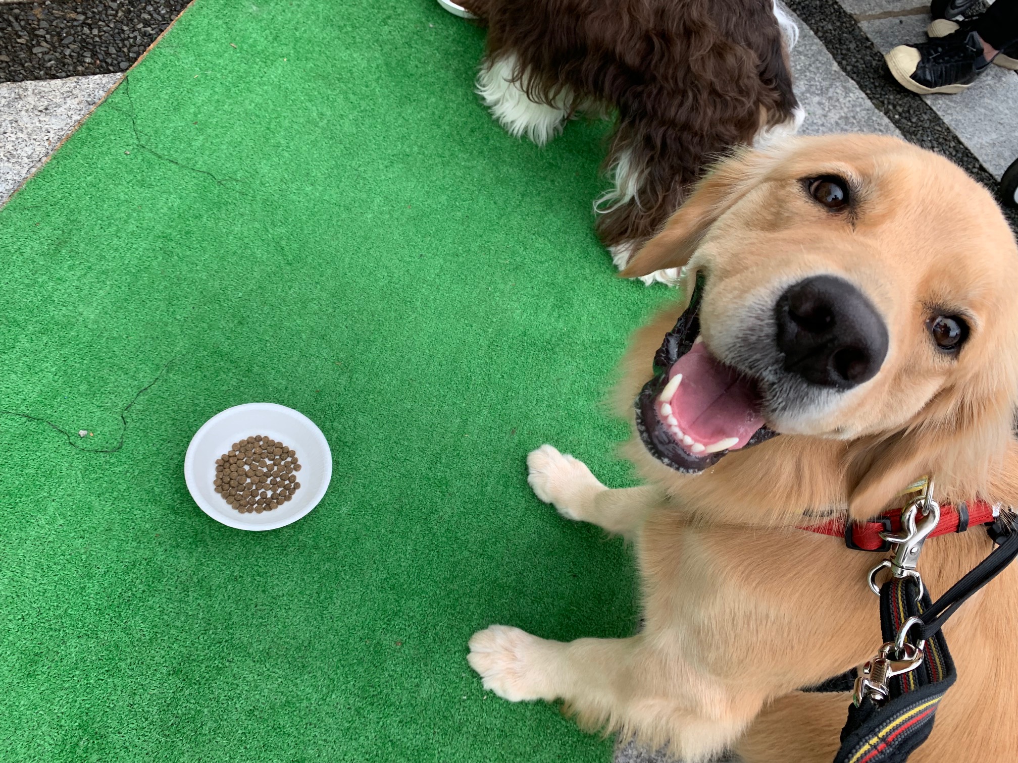 ファイル 7350-3.jpg