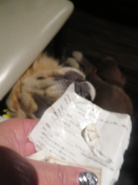 ファイル 7355-4.jpg