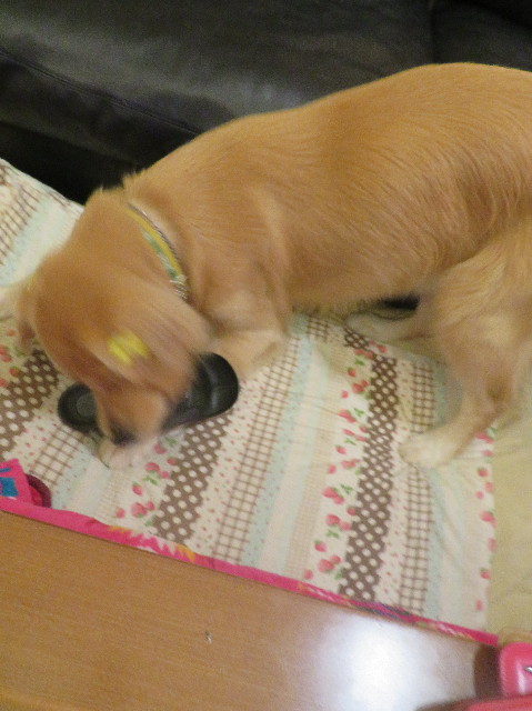 ファイル 7356-2.jpg