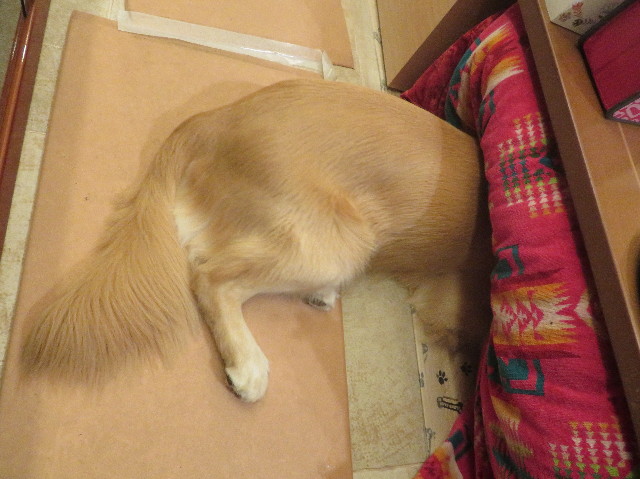 ファイル 7356-3.jpg