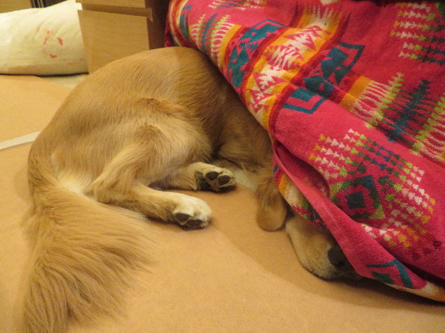 ファイル 7356-4.jpg