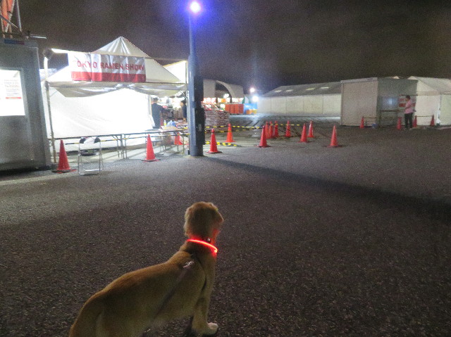 ファイル 7356-5.jpg