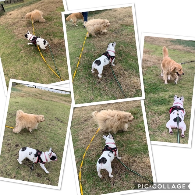 ファイル 7357-3.jpg