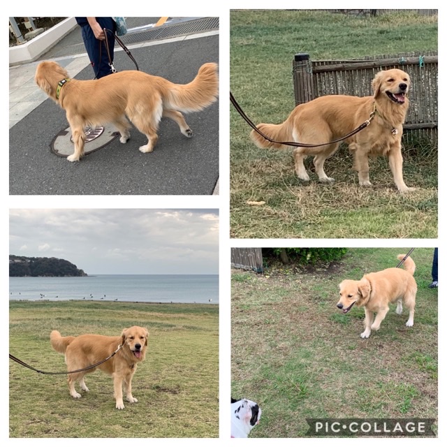 ファイル 7357-4.jpg