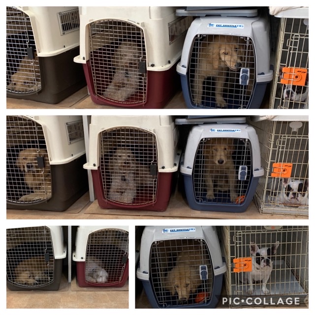 ファイル 7357-5.jpg