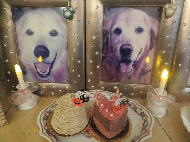 ファイル 7358-1.jpg