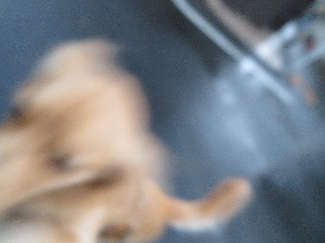 ファイル 7358-5.jpg