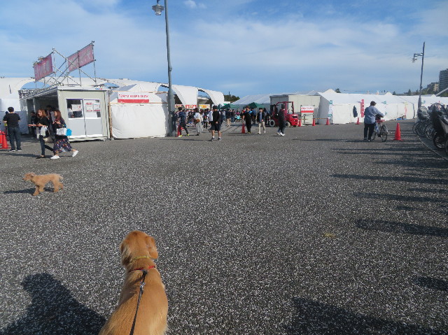 ファイル 7359-1.jpg