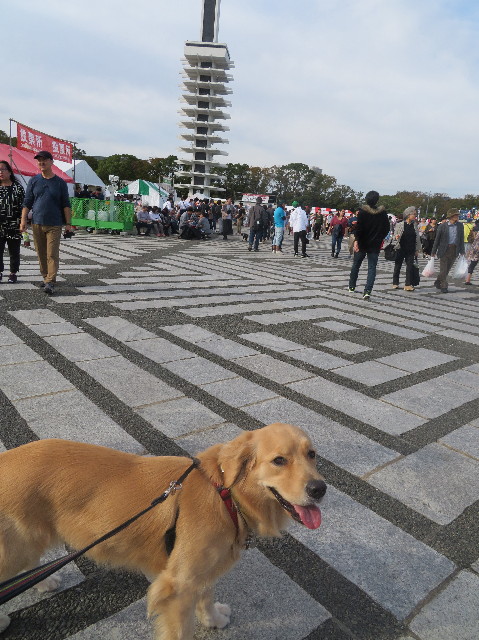 ファイル 7359-3.jpg