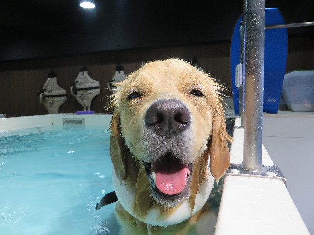 ファイル 7365-1.jpg