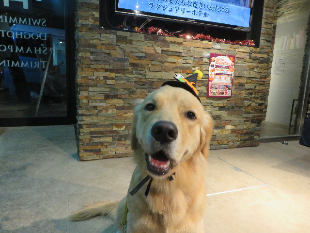 ファイル 7365-3.jpg