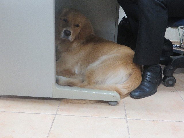 ファイル 7365-4.jpg