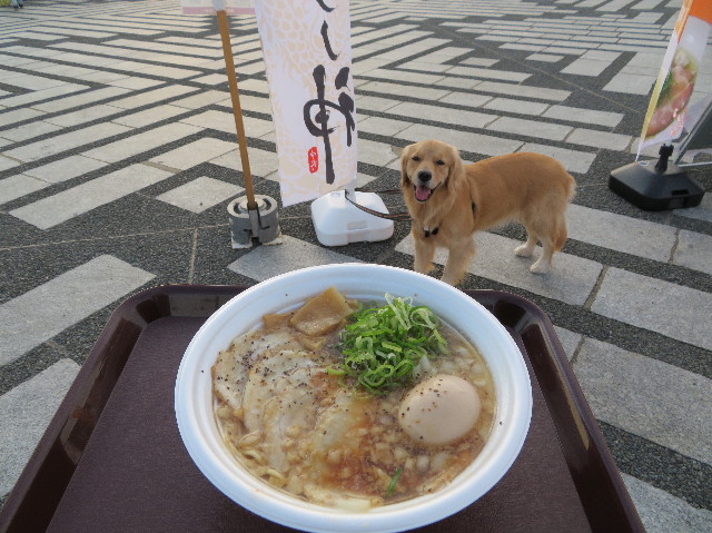 ファイル 7366-3.jpg