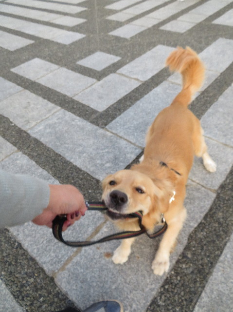 ファイル 7366-4.jpg