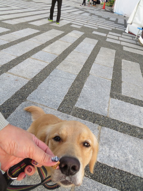 ファイル 7366-5.jpg