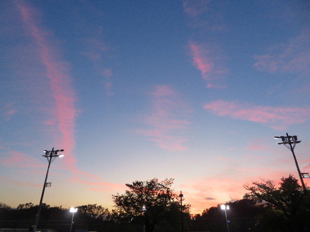 ファイル 7367-5.jpg