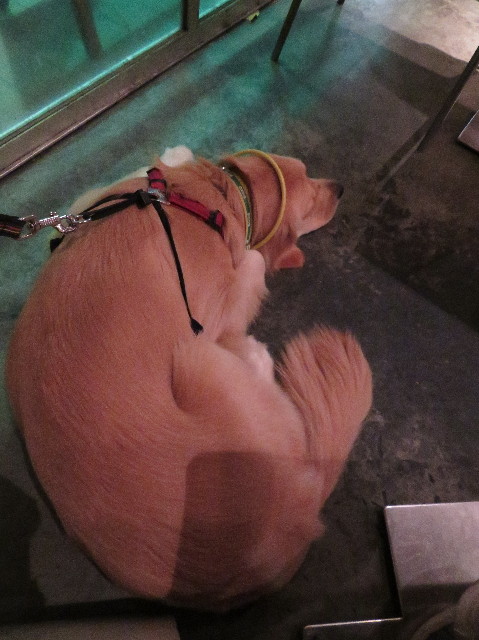 ファイル 7368-4.jpg