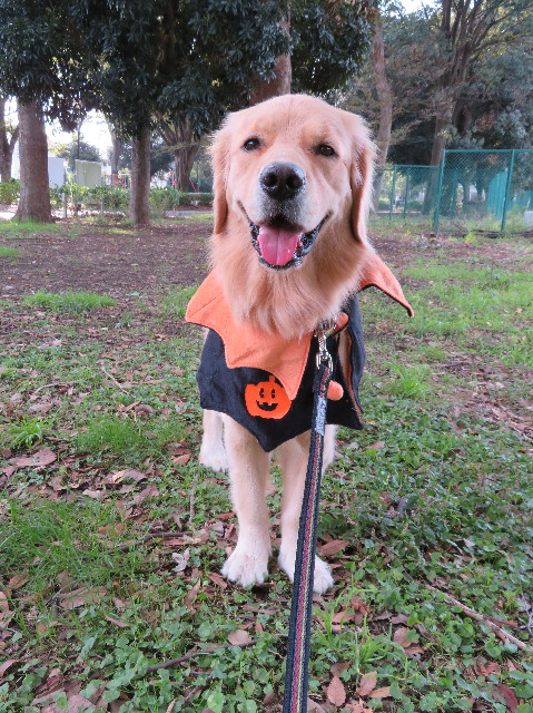 ファイル 7369-2.jpg