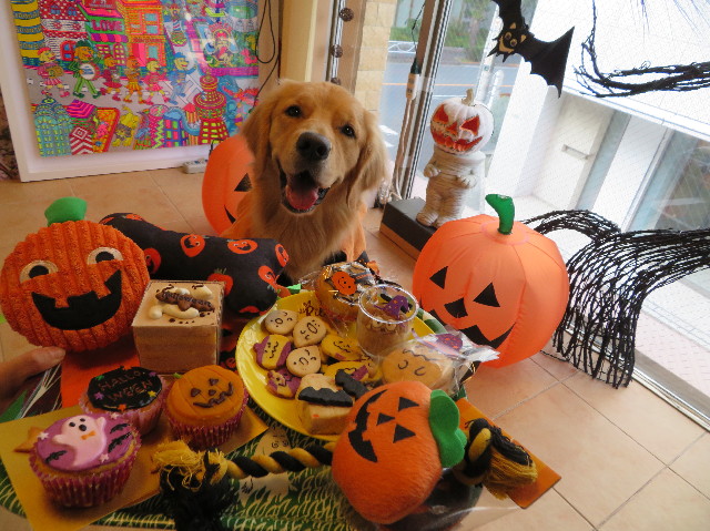 ファイル 7369-3.jpg