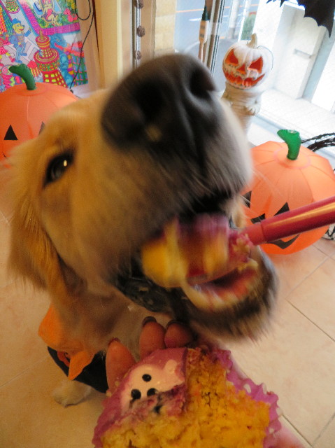 ファイル 7369-4.jpg