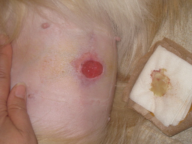 ファイル 737-3.jpg