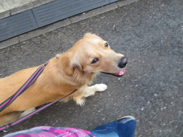 ファイル 7370-3.jpg