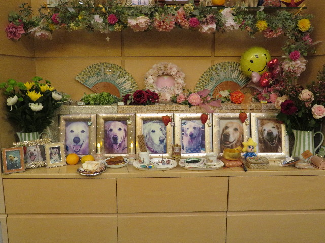 ファイル 7372-5.jpg