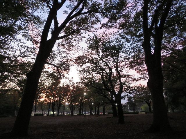 ファイル 7373-2.jpg