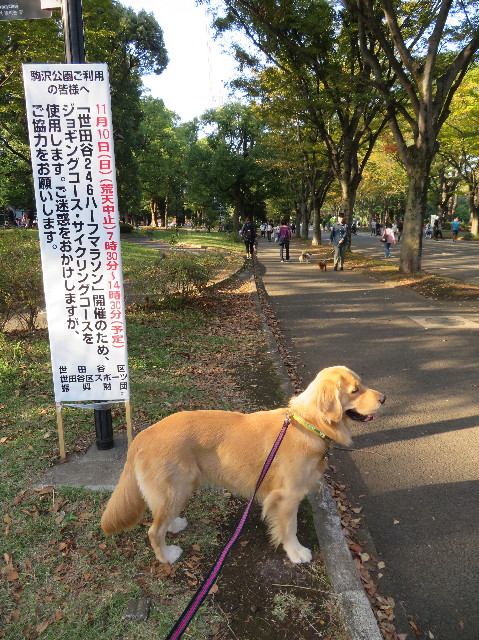 ファイル 7373-5.jpg