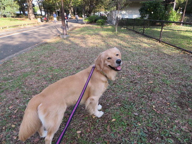 ファイル 7374-1.jpg