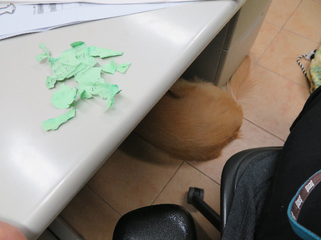 ファイル 7375-5.jpg