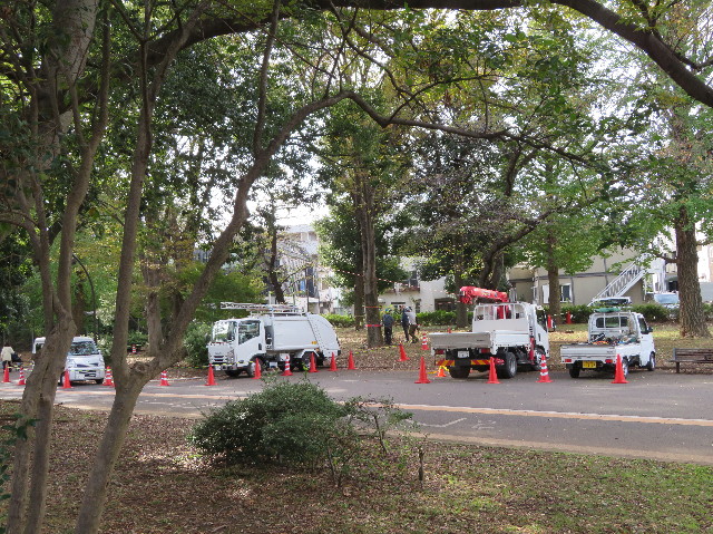 ファイル 7376-3.jpg