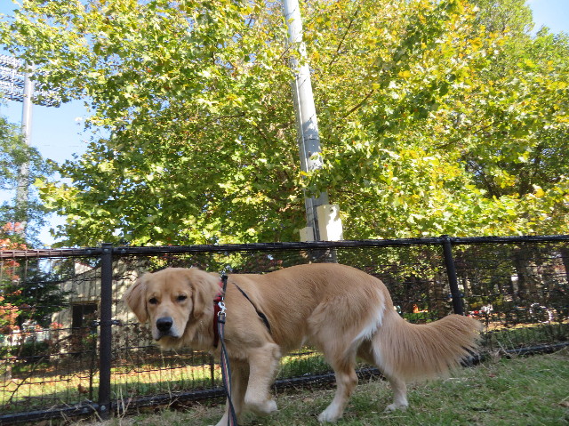 ファイル 7379-1.jpg