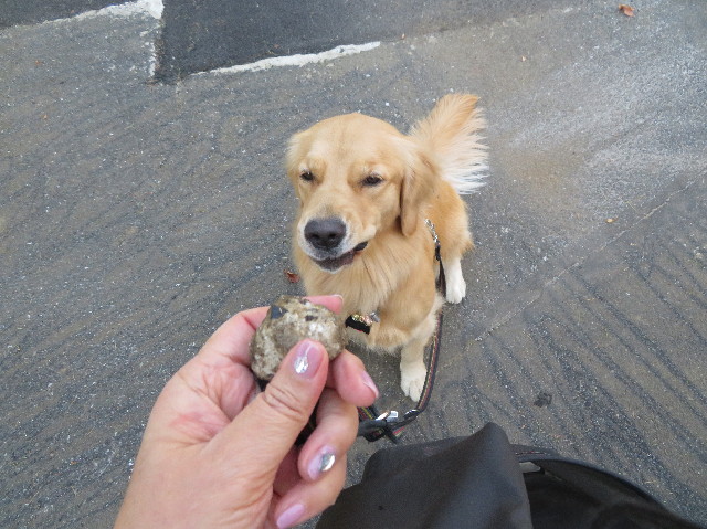 ファイル 7379-2.jpg