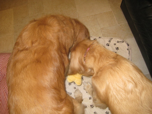 ファイル 738-4.jpg